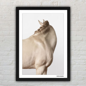 "Disguise" Photographic Art Print